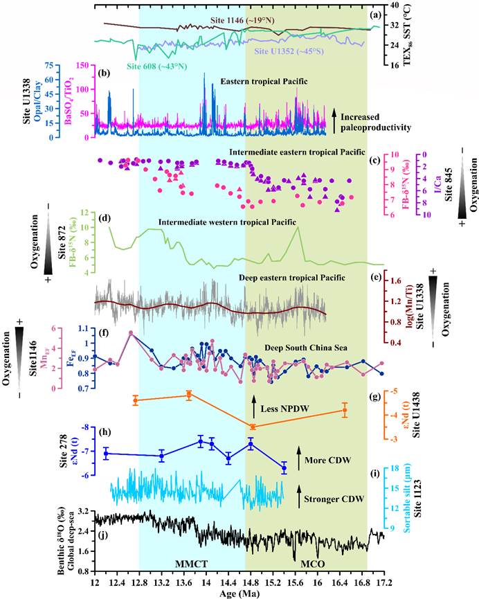 图片包含 图示  AI 生成的内容可能不正确。