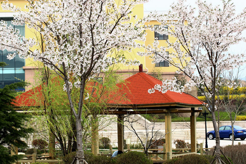 <a href='//www.parssolarniro.com/haide/2021/0517/c21561a322430/page.htm' target='_blank' title='22'>22</a>