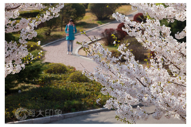 <a href='//www.parssolarniro.com/haide/2021/0517/c21561a322424/page.htm' target='_blank' title='17'>17</a>