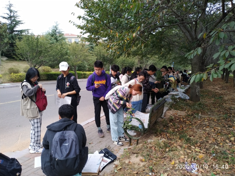 <a href='//www.parssolarniro.com/haide/2021/0517/c21539a322386/page.htm' target='_blank' title='20'>20</a>