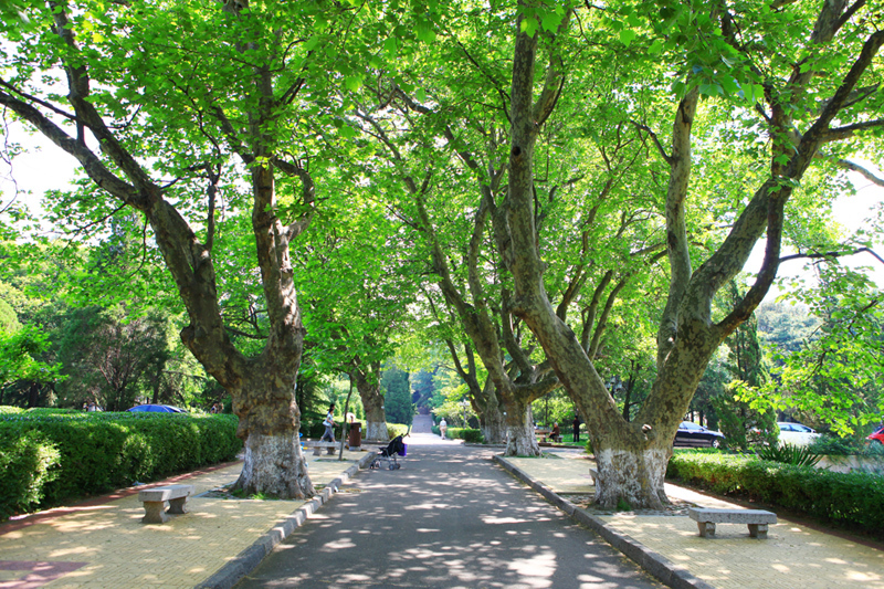 <a href='//www.parssolarniro.com/haide/2021/0517/c21561a322426/page.htm' target='_blank' title='18'>18</a>