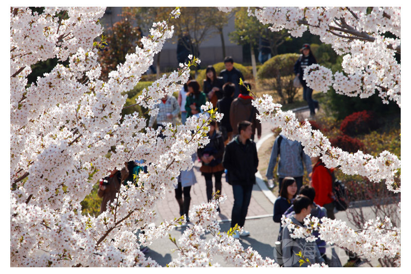 <a href='//www.parssolarniro.com/haide/2021/0517/c21561a322433/page.htm' target='_blank' title='24'>24</a>