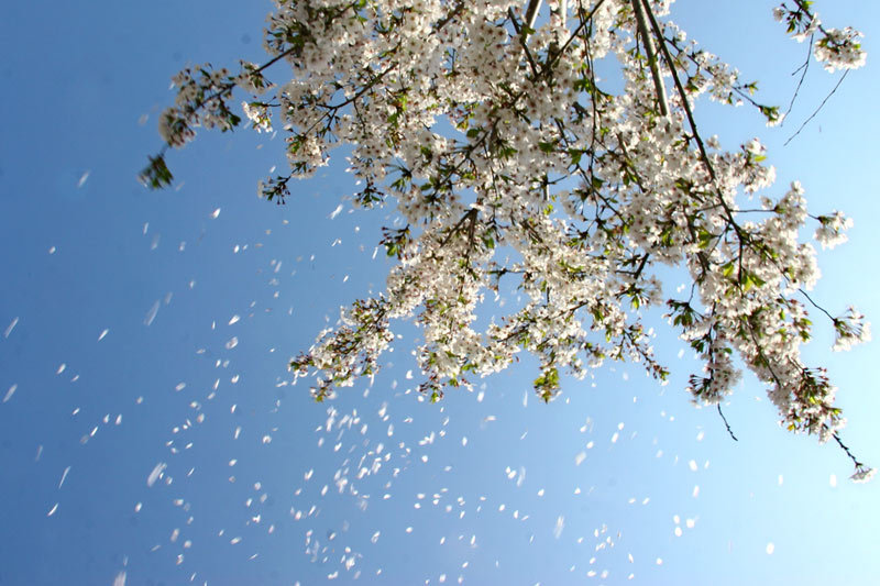 <a href='//www.parssolarniro.com/haide/2021/0517/c21561a322415/page.htm' target='_blank' title='8'>8</a>