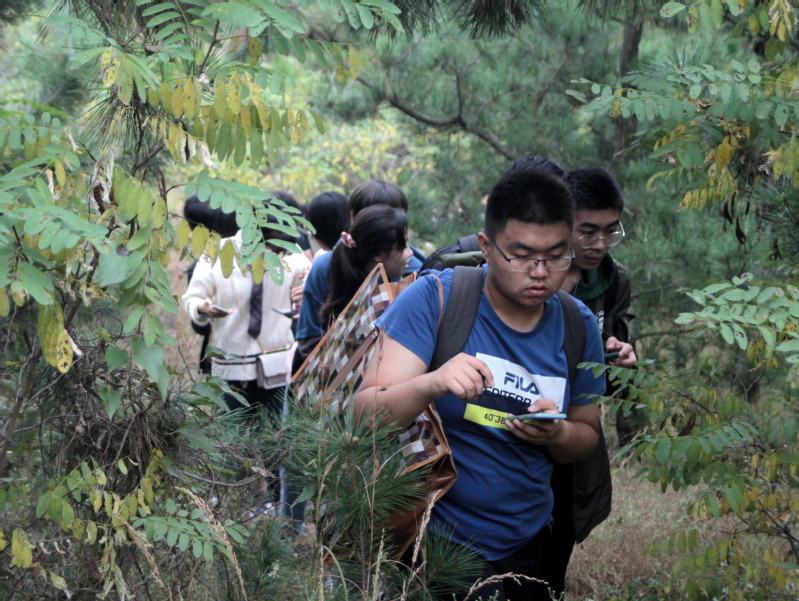 <a href='//www.parssolarniro.com/haide/2021/0517/c21539a322385/page.htm' target='_blank' title='19'>19</a>