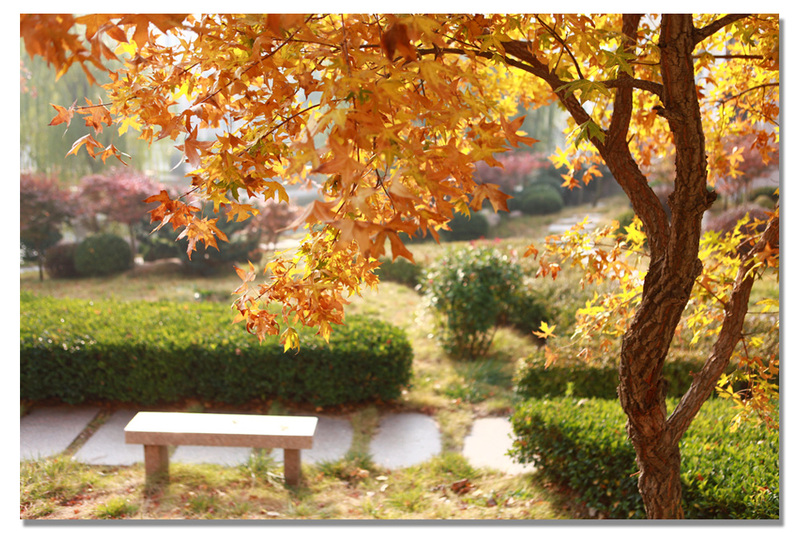 <a href='//www.parssolarniro.com/haide/2021/0517/c21561a322420/page.htm' target='_blank' title='13'>13</a>