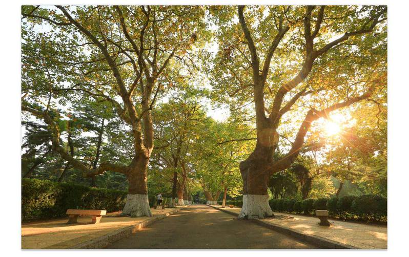 <a href='//www.parssolarniro.com/haide/2021/0517/c21561a322416/page.htm' target='_blank' title='8'>8</a>