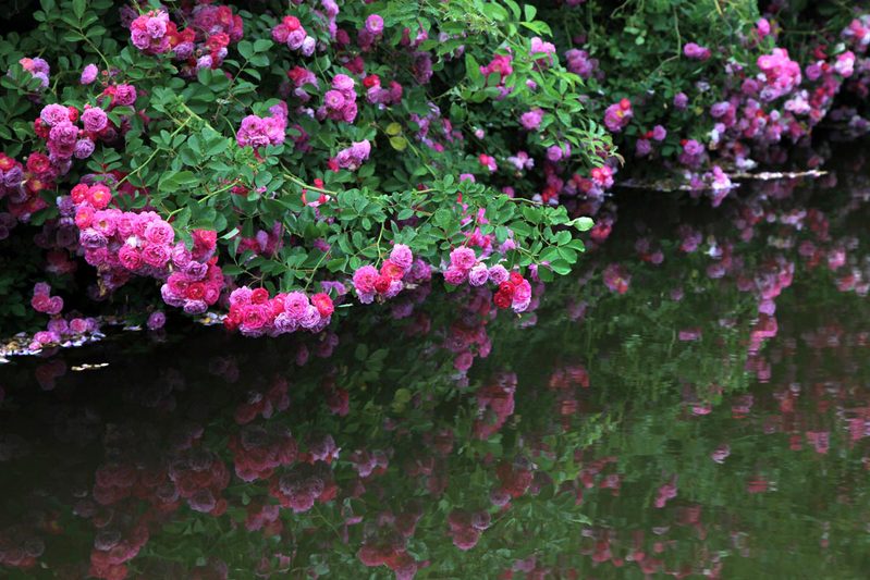 <a href='//www.parssolarniro.com/haide/2021/0517/c21561a322432/page.htm' target='_blank' title='23'>23</a>