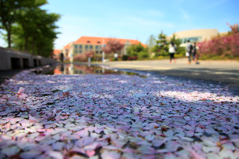 <a href='//www.parssolarniro.com/haide/2021/0517/c21561a322423/page.htm' target='_blank' title='16'>16</a>