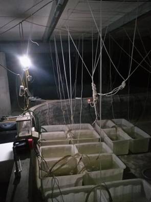 QQ图片20180404191856