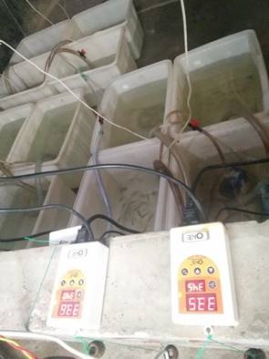 QQ图片20180404191905