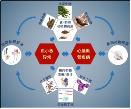 F:\Job hunting\研究方向.jpg